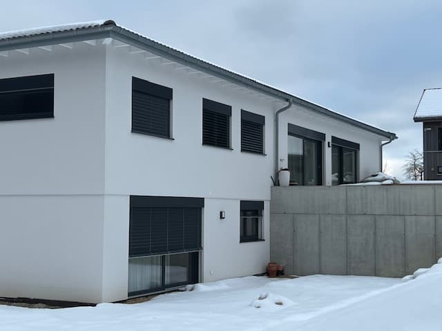 Wood Villa project in progress 19